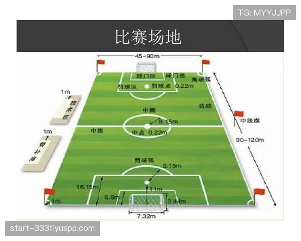裁判权威如何影响足球规则的执行与判罚公平性解析